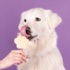 Glace pour chien - Banane – Image 2