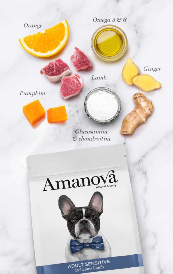 Sac Amanova Agneau Deluxe sans céréales pour chien adulte sensible – Image 4