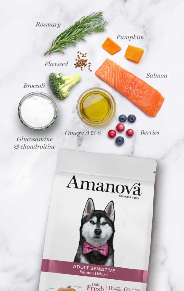 Sac Amanova Saumon Deluxe sans céréales pour chien adulte sensible – Image 4